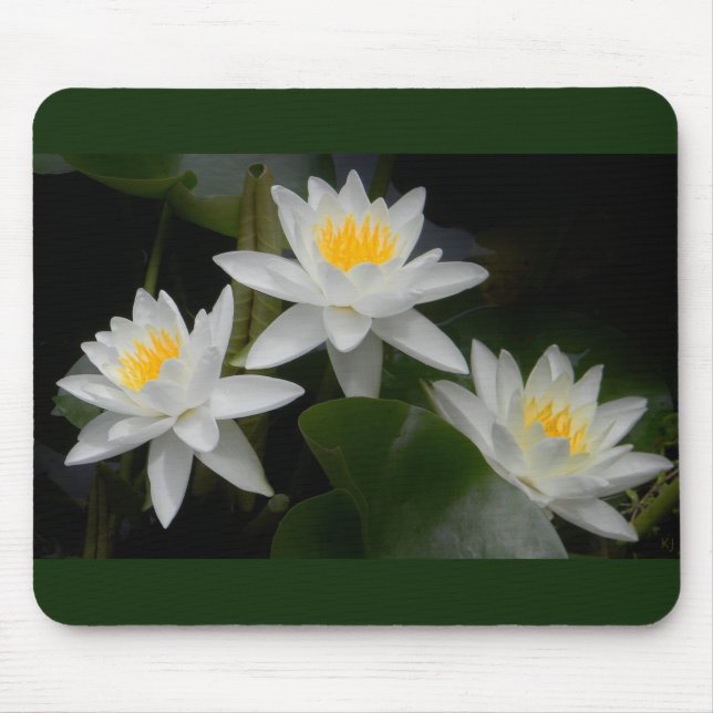 Tapis De Souris Nénuphar Trio Mousepad (Devant)