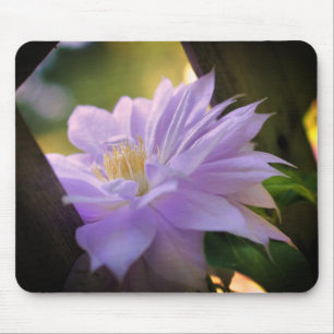 Tapis De Souris Nestled Clematis Flower 