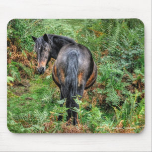 Tapis De Souris New Forest Pony & Bracken pour les amateurs de che