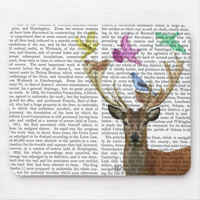 Tapis De Souris Nids des cerfs et des oiseaux Pastel Shades (Devant)