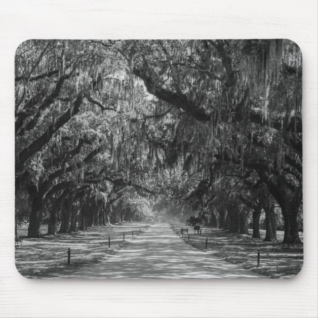 Tapis De Souris Niveaux De Gris De L'Avenue Des Chênes (Devant)