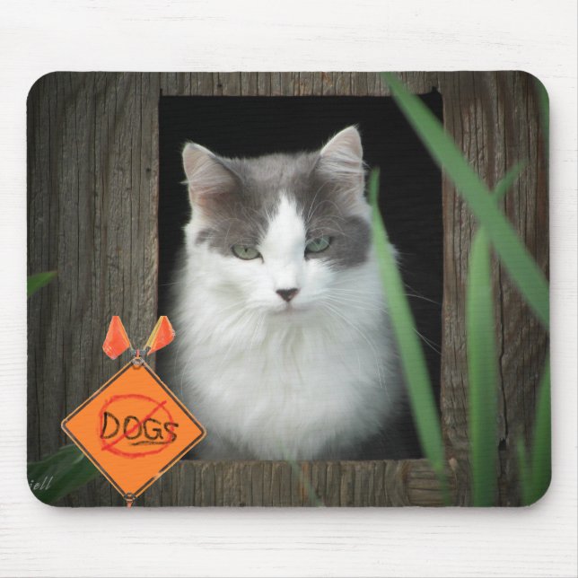 Tapis De Souris No Dogs Zone Kitty (Devant)
