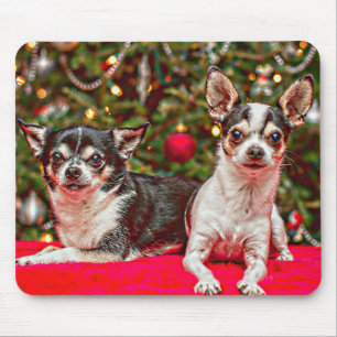 Tapis De Souris Noël au Chihuahua