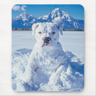 Tapis De Souris Noël Pitbull Chien Snowman