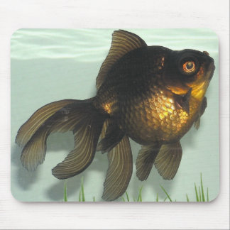 Tapis De Souris Noir-amarrez le poisson rouge