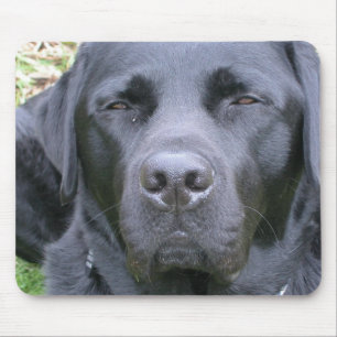 Tapis de souris noir de chien de labrador