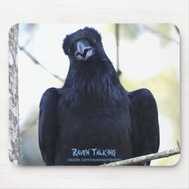 TAPIS DE SOURIS NOIR RAVEN PARLER (Devant)