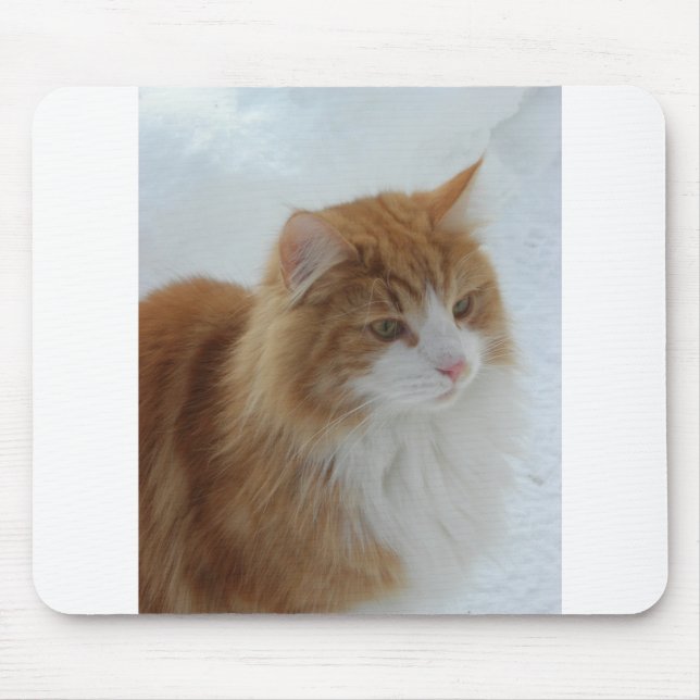 Tapis De Souris Norwegian_Forest_Cat (Devant)