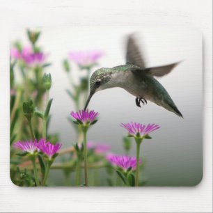 Tapis De Souris Nourriture des colibris