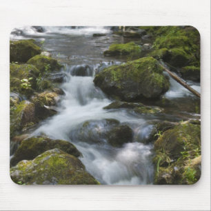 Tapis De Souris Nouveau-Brunswick, Canada. Chutes Dickson à Fundy