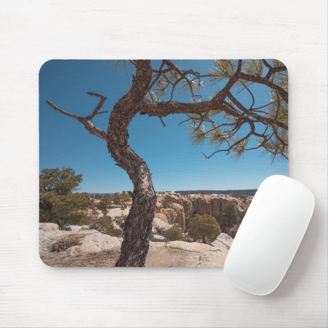 Tapis De Souris Nouveau-Mexique photo du paysage (Avec souris)