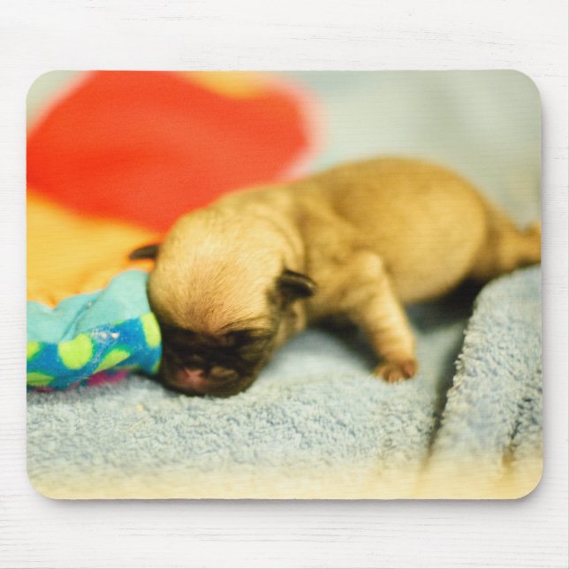 Tapis De Souris Nouveau-né bébé Carlin chien (Devant)