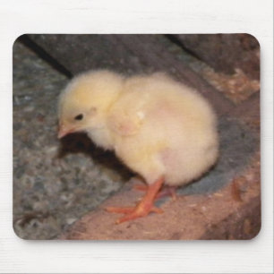 Tapis De Souris Nouveau-né Chick