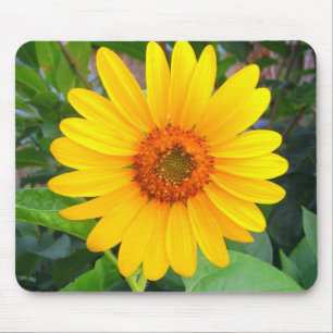 Tapis De Souris Nouveau tournesol