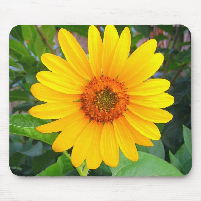 Tapis De Souris Nouveau tournesol (Devant)