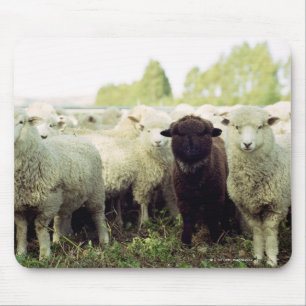 Tapis De Souris Nouvelle-Zélande