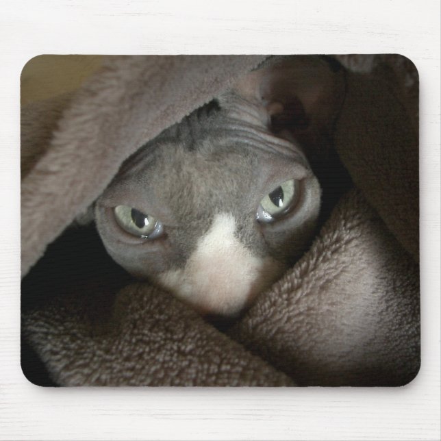 Tapis De Souris NudeGear - Merrik Mousepad (Devant)