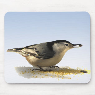 Tapis De Souris Nuthatch à poitrine blanche