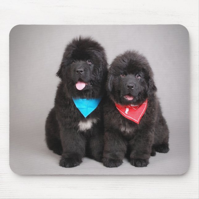 Tapis De Souris Nuwfie (Devant)