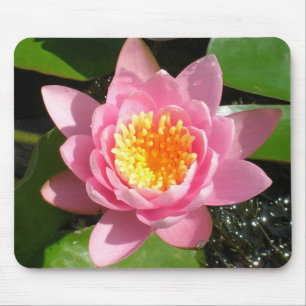 Tapis De Souris Nymphéa rose