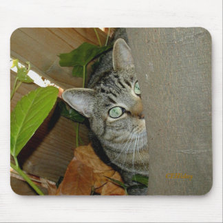 Tapis De Souris Observation de votre souris