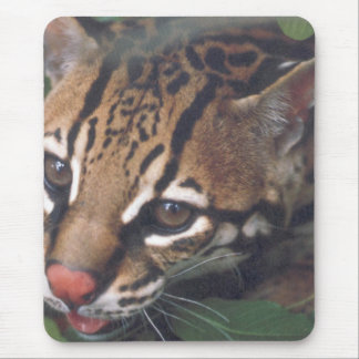 TAPIS DE SOURIS OCELOT