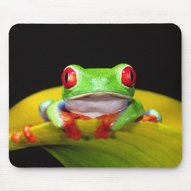 Tapis De Souris Oeil rouge Treefrog, Agalychinis callidryas, autoc (Devant)