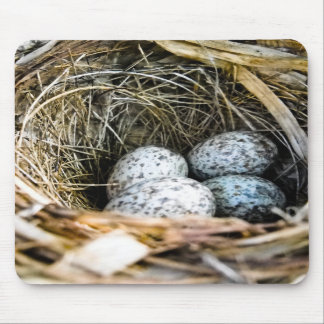 Tapis De Souris Oeuf cardinal Mousepad