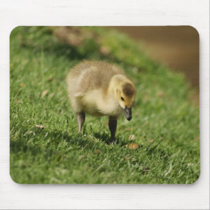Tapis De Souris Oie curieuse et le champignon Mousepad de bébé d