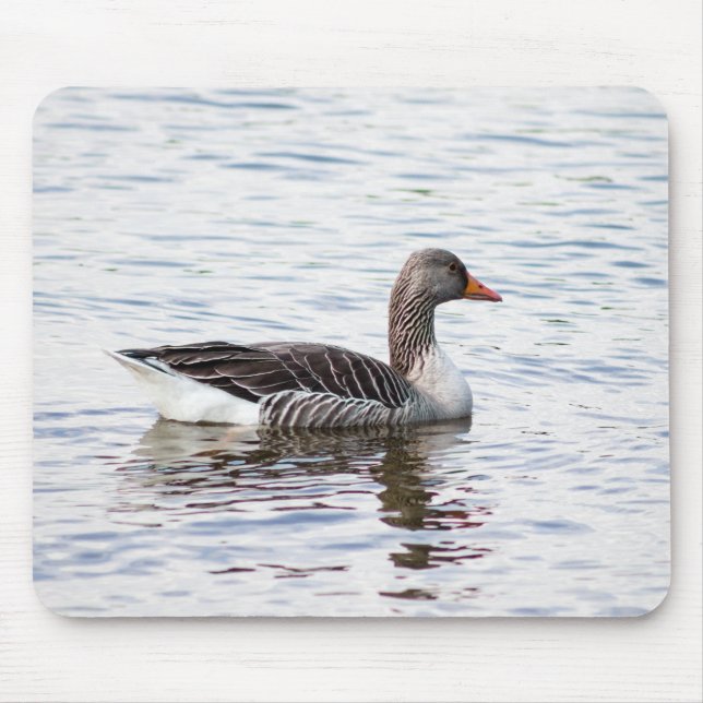 Tapis De Souris Oie de Greylag (Devant)