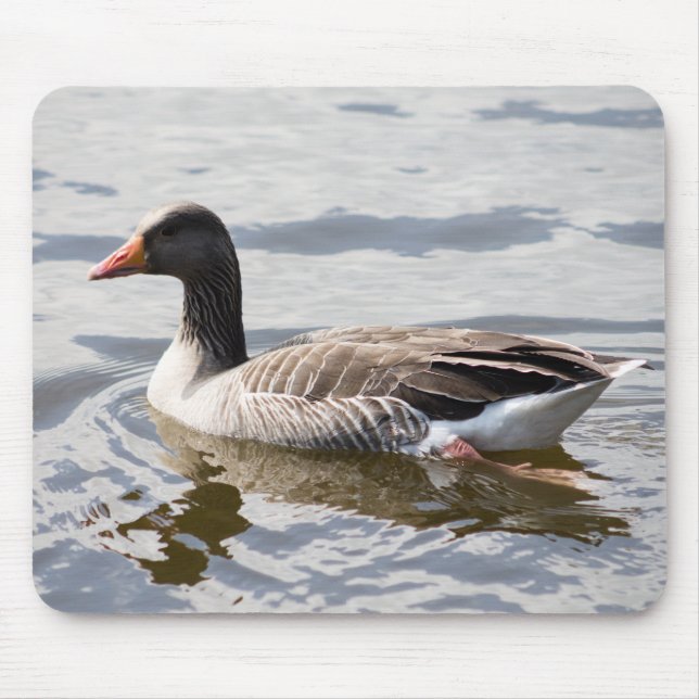 Tapis De Souris Oie de Greylag (Devant)