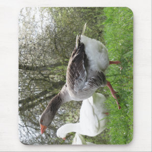 Tapis De Souris Oies dans une prairie