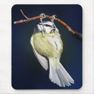 Tapis De Souris Oiseau
