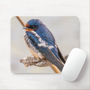 Tapis De Souris Oiseau bleu, Hirondelle de grange, Photographie ca