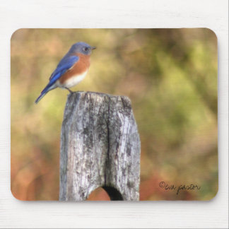 Tapis De Souris Oiseau bleu Mousepad