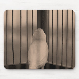 Tapis De Souris Oiseau, Cage, bars