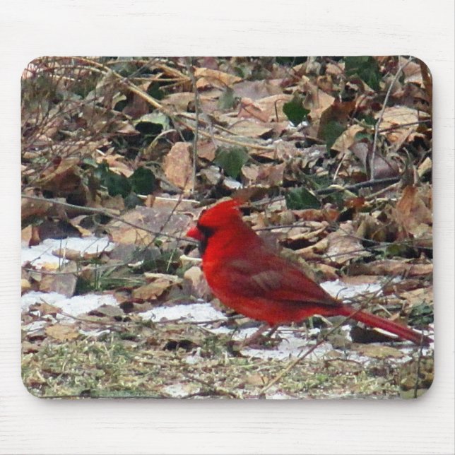 Tapis De Souris Oiseau cardinal rouge dans le feuille (Devant)