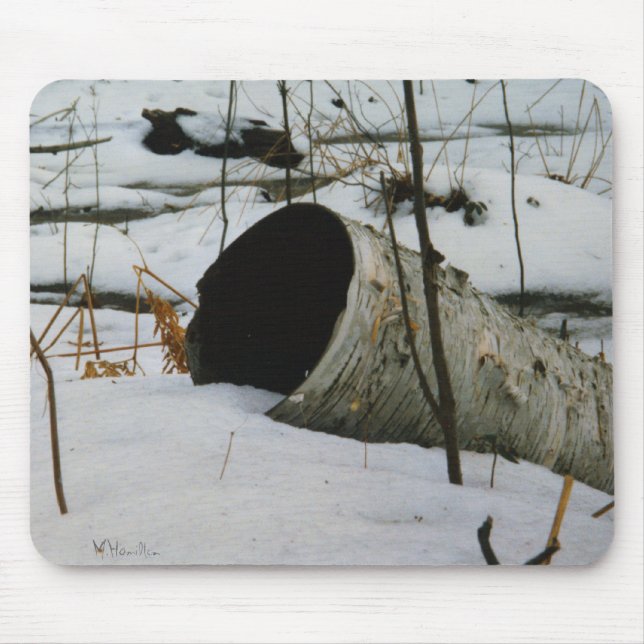 Tapis De Souris Oiseau creux (Devant)