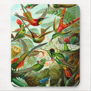 Tapis De Souris Oiseau de ronflement