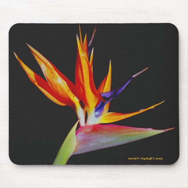 Tapis De Souris Oiseau du Paradis Mousepad (Devant)