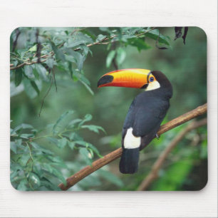 Tapis De Souris Oiseau Mousepad de toucan de Toco