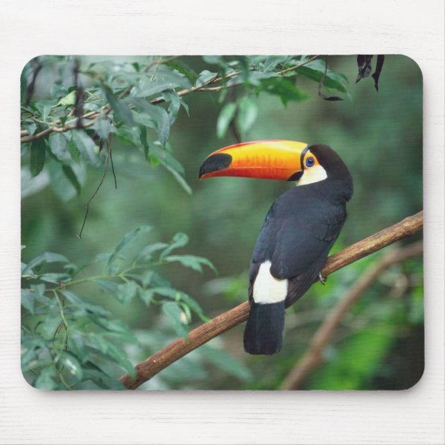 Tapis De Souris Oiseau Mousepad de toucan de Toco (Devant)