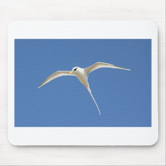Tapis De Souris Oiseau Paille en Queue Ile Maurice