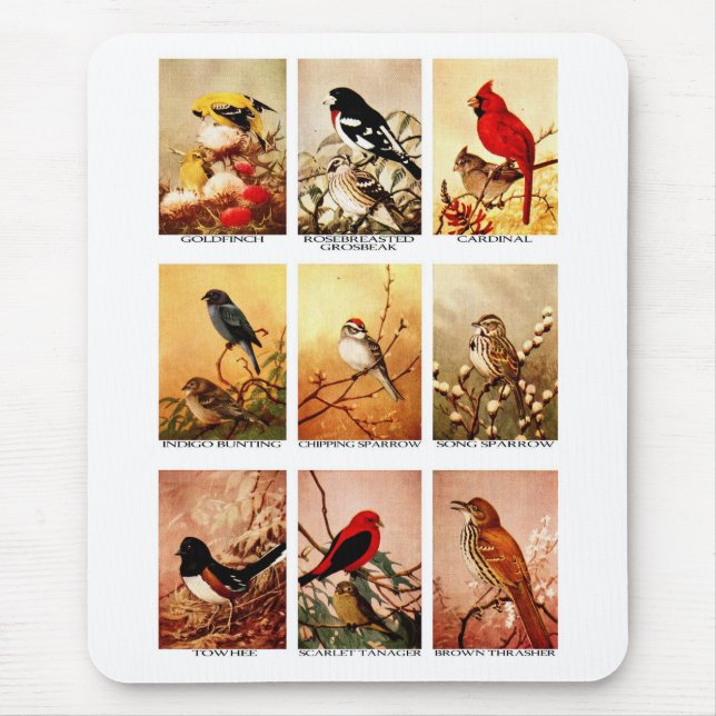Tapis De Souris Oiseaux (Devant)