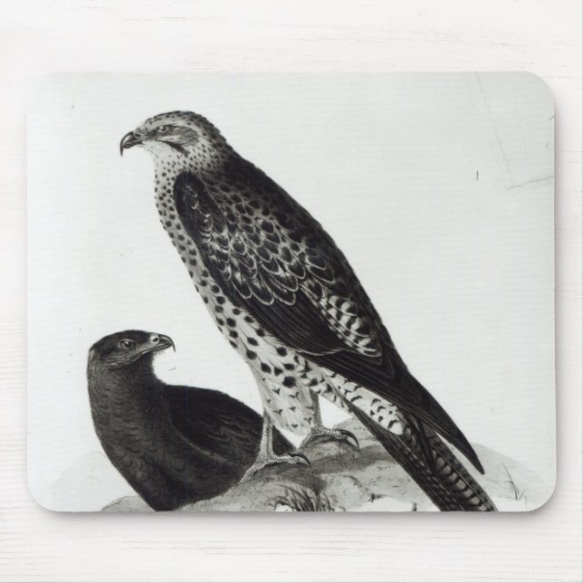 Tapis De Souris Oiseaux de proie (Devant)