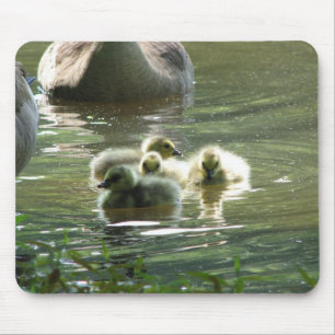 Tapis De Souris Oisons Mousepad