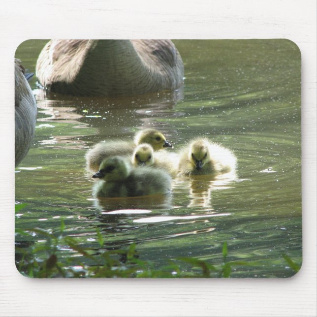Tapis De Souris Oisons Mousepad (Devant)
