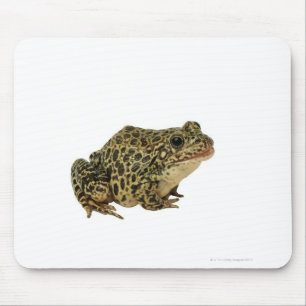 Tapis De Souris Ombre de grenouille