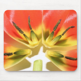 Tapis De Souris Open re-a construit la tulipe rouge