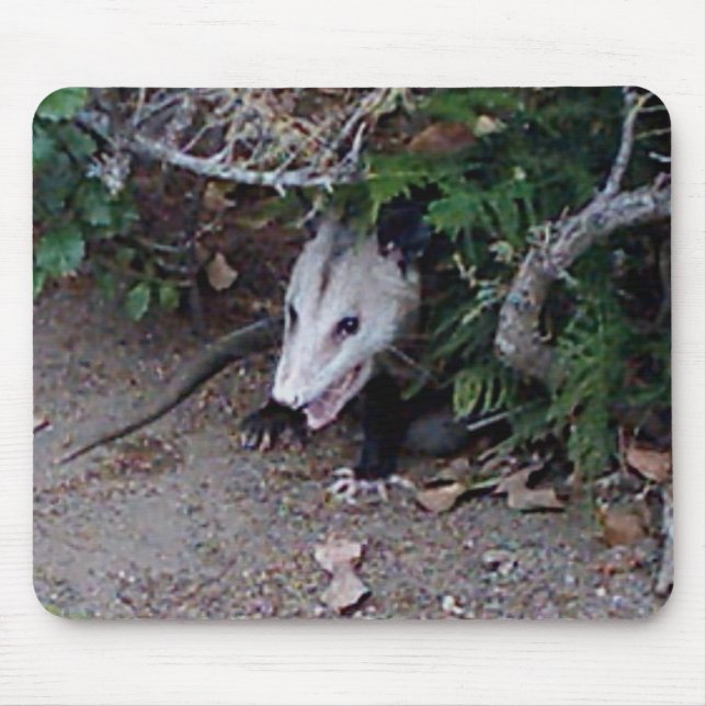 Tapis De Souris Opossum sauvage (Devant)